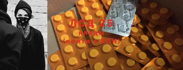 индика Белоозёрский