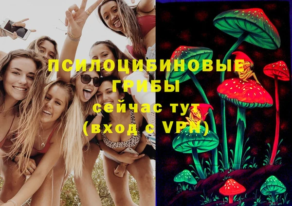 индика Белоозёрский