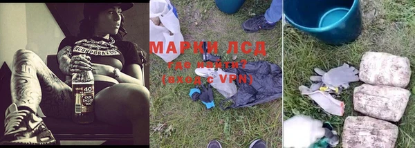 ПСИЛОЦИБИНОВЫЕ ГРИБЫ Беломорск