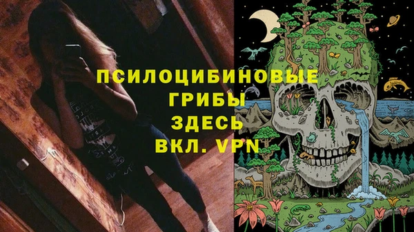 ПСИЛОЦИБИНОВЫЕ ГРИБЫ Беломорск