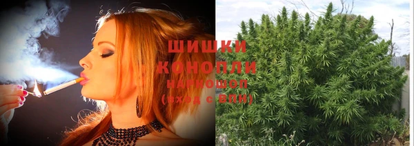 твердый Белокуриха