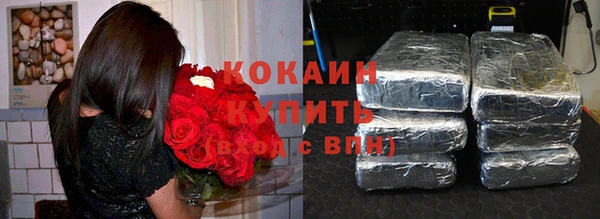 индика Белоозёрский