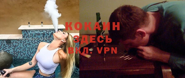 индика Белоозёрский