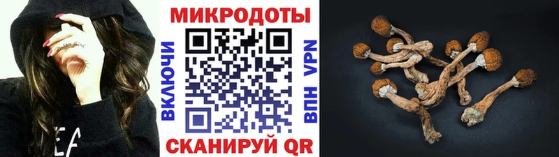 Псилоцибиновые грибы мицелий  Нововоронеж 