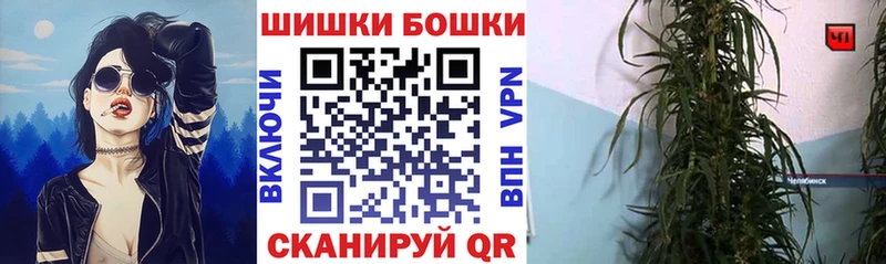 kraken tor сколько стоит Нововоронеж Каннабис сатива